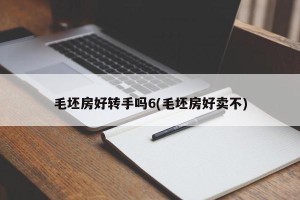 毛坯房好转手吗6(毛坯房好卖不)