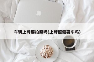 车辆上牌要拍照吗(上牌照需要车吗)